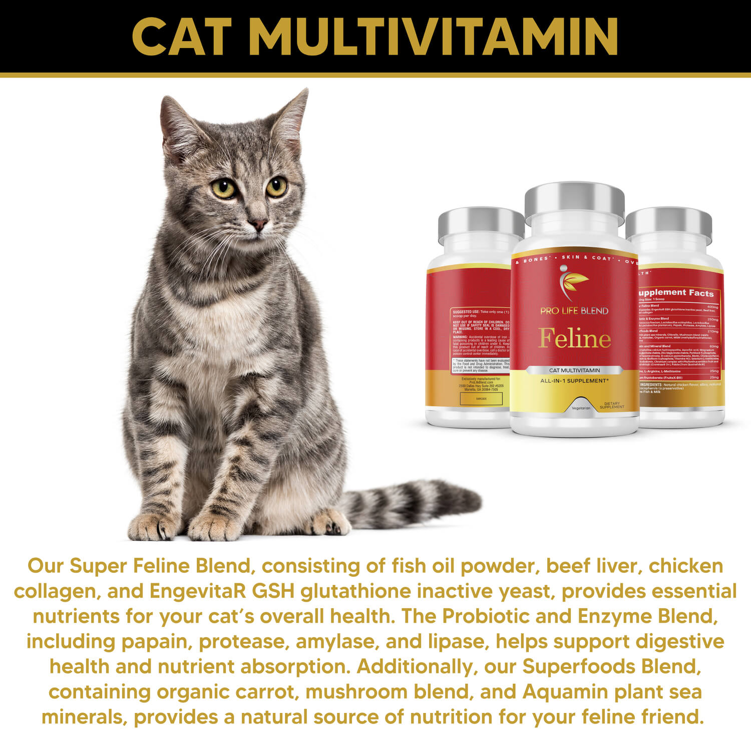 Feline Pro Life Blend